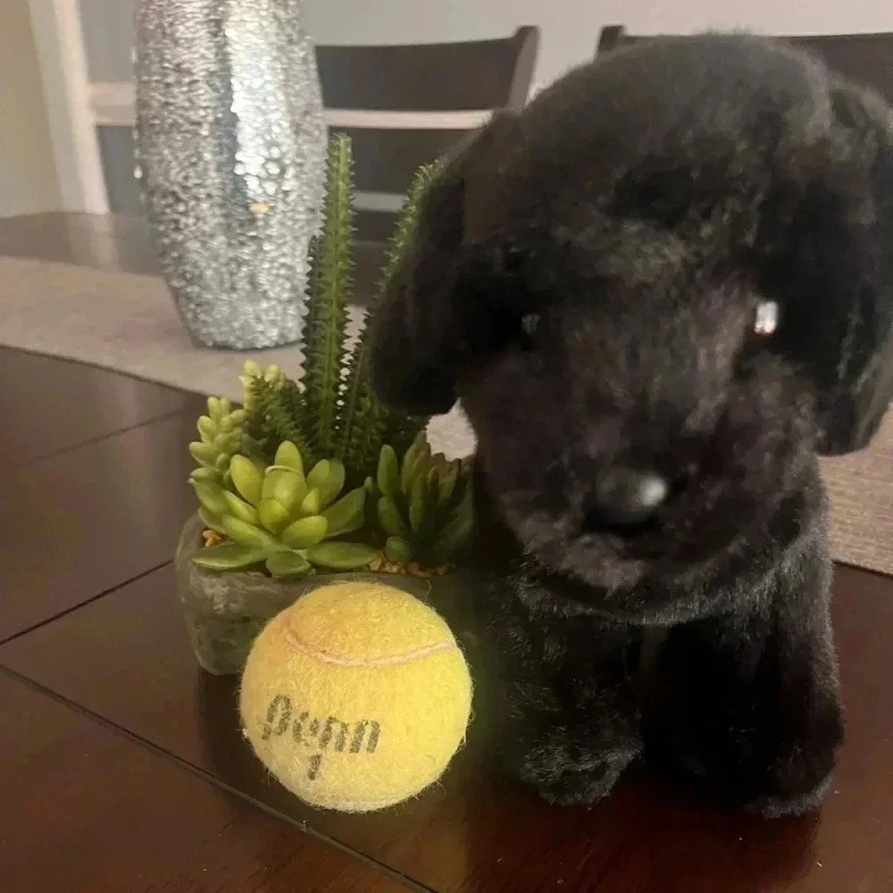 Child’s Black Puppy Plush - Picture 3 of 4